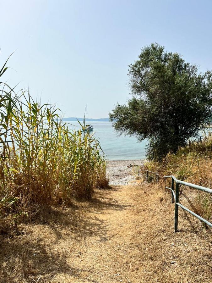 Lithino Apartments - 5Min From The Beach Agios Ioannis Peristeron  Ngoại thất bức ảnh