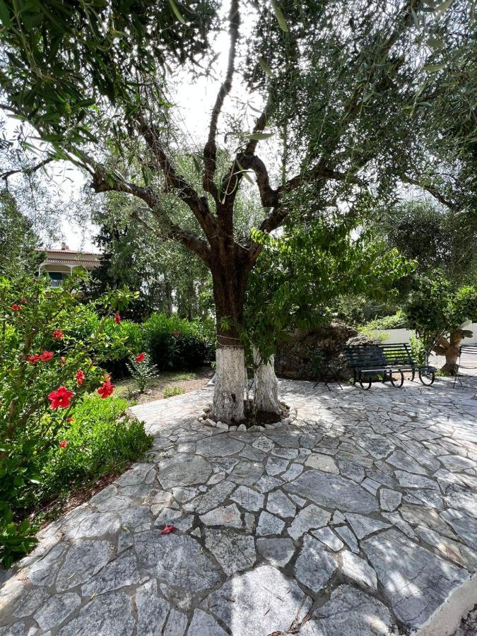 Lithino Apartments - 5Min From The Beach Agios Ioannis Peristeron  Ngoại thất bức ảnh